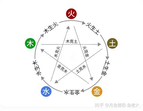 属木的人适合什么行业|命理五行对应的行业类别大全（必须收藏）